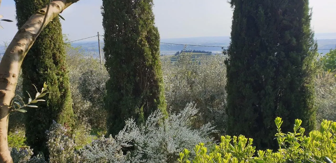 Cortela SantʼAmbrogio di Valpolicella